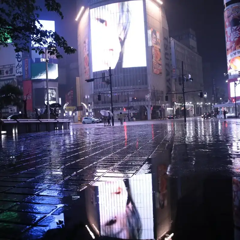 渋谷スクランブル交差点/夜の雨